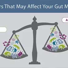 5 Ways You Might Upset Your Gut Microbiome (and What You Can Do About It)